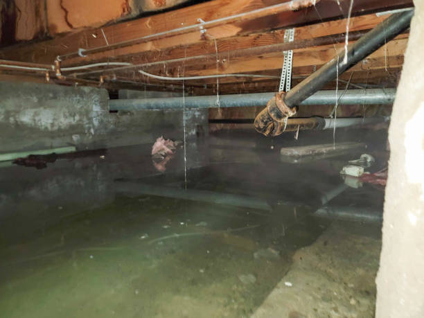 Best Flood restoration services  in Pomona, NY