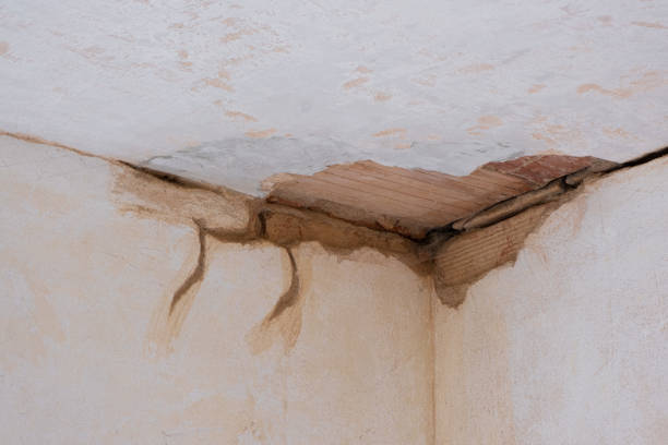 Best 24-hour water damage restoration  in Pomona, NY