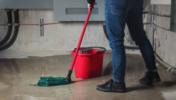 Best Mold removal after water damage  in Pomona, NY