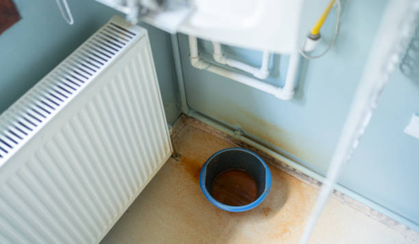 Best Professional water damage repair  in Pomona, NY