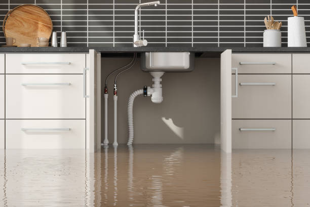Best Ceiling water damage repair  in Pomona, NY