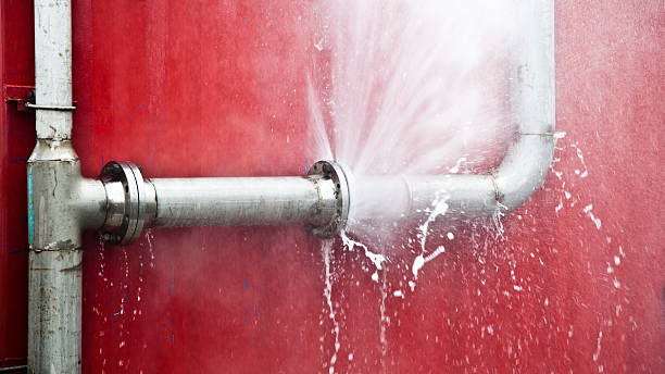 Best Flood restoration services  in Pomona, NY